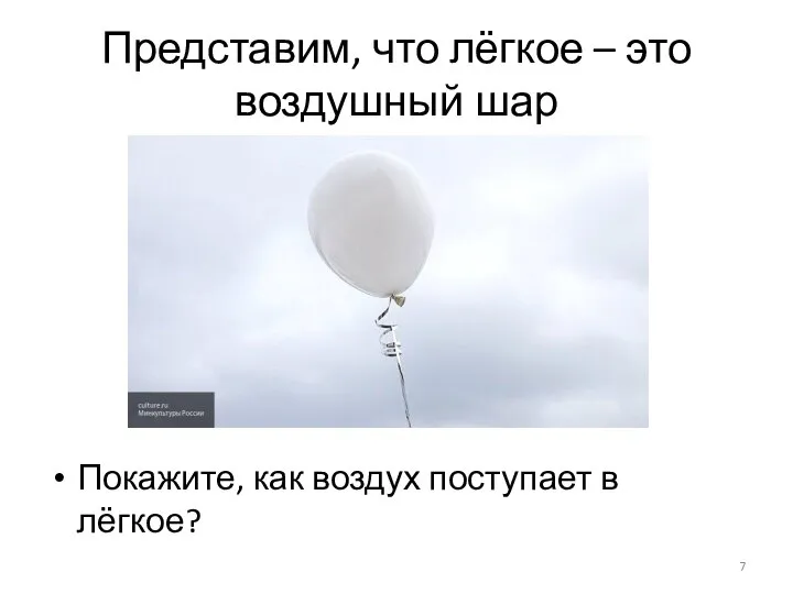 Представим, что лёгкое – это воздушный шар Покажите, как воздух поступает в лёгкое?