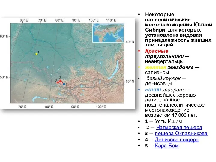 Некоторые палеолитические местонахождения Южной Сибири, для которых установлена видовая принадлежность живших там