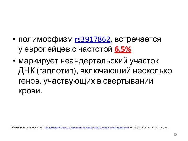 полиморфизм rs3917862, встречается у европейцев с частотой 6,5% маркирует неандертальский участок ДНК