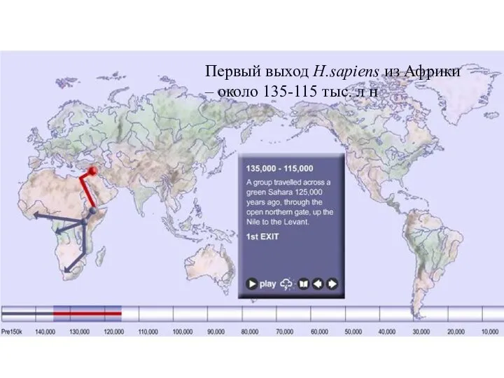 Первый выход H.sapiens из Африки – около 135-115 тыс. л н