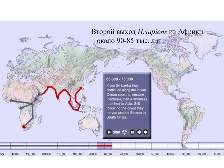 Второй выход H.sapiens из Африки – около 90-85 тыс. л н