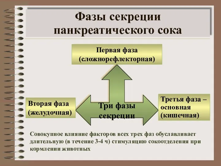 Фазы секреции панкреатического сока Три фазы секреции Первая фаза (сложнорефлекторная) Вторая фаза