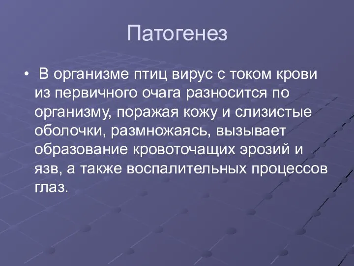 Патогенез В организме птиц вирус с током крови из первичного очага разносится