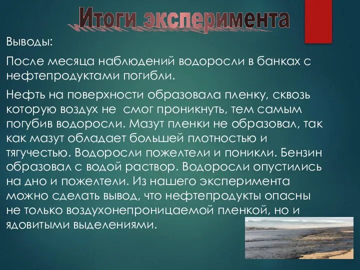 Выводы: После месяца наблюдений водоросли в банках с нефтепродуктами погибли. Нефть на