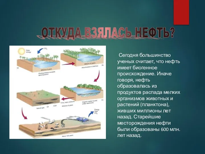 Сегодня большинство ученых считает, что нефть имеет биогенное происхождение. Иначе говоря, нефть