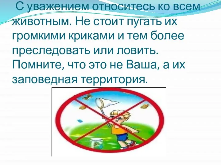 С уважением относитесь ко всем животным. Не стоит пугать их громкими криками