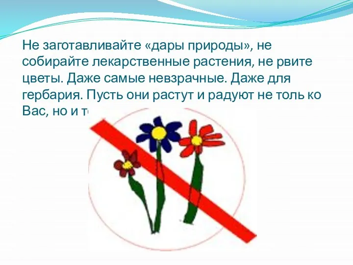 Не заготавливайте «дары природы», не собирайте лекарственные растения, не рвите цветы. Даже