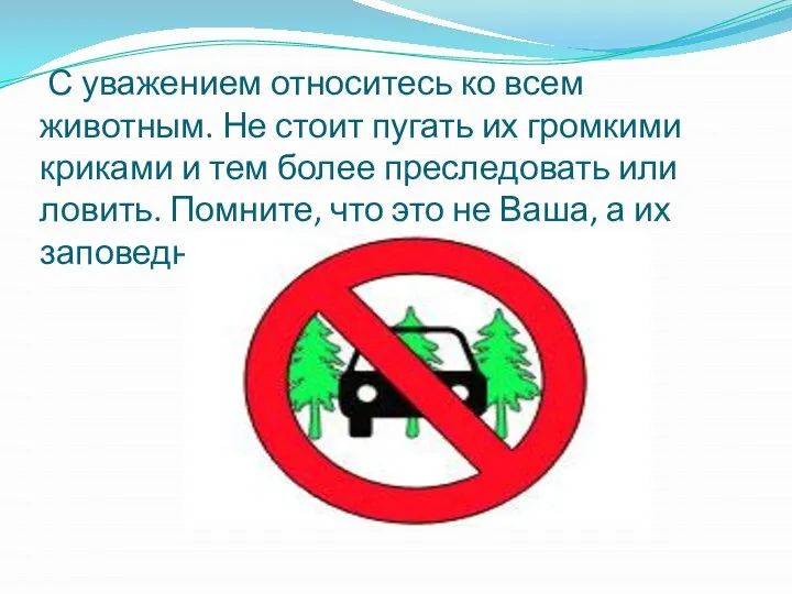 С уважением относитесь ко всем животным. Не стоит пугать их громкими криками