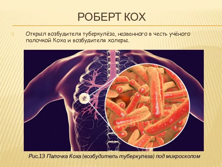 РОБЕРТ КОХ Открыл возбудителя туберкулёза, названного в честь учёного палочкой Коха и