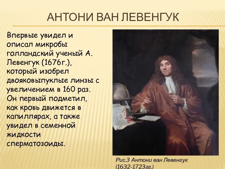 Рис.3 Антони ван Левенгук (1632-1723гг.) АНТОНИ ВАН ЛЕВЕНГУК Впервые увидел и описал