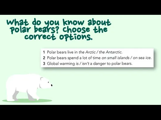 What do you know about polar bears? Choose the correct options.