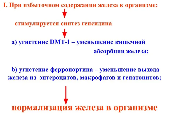 I. При избыточном содержании железа в организме: стимулируется синтез гепсидина a) угнетение