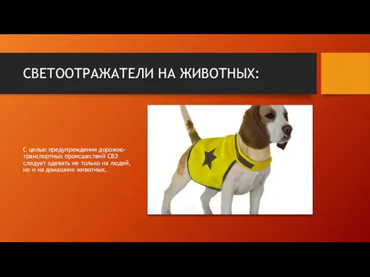 СВЕТООТРАЖАТЕЛИ НА ЖИВОТНЫХ: С целью предупреждения дорожно-транспортных происшествий СВЭ следует одевать не