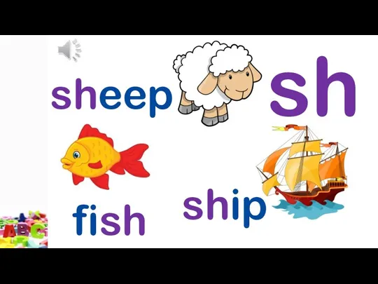 sh sheep ship fish