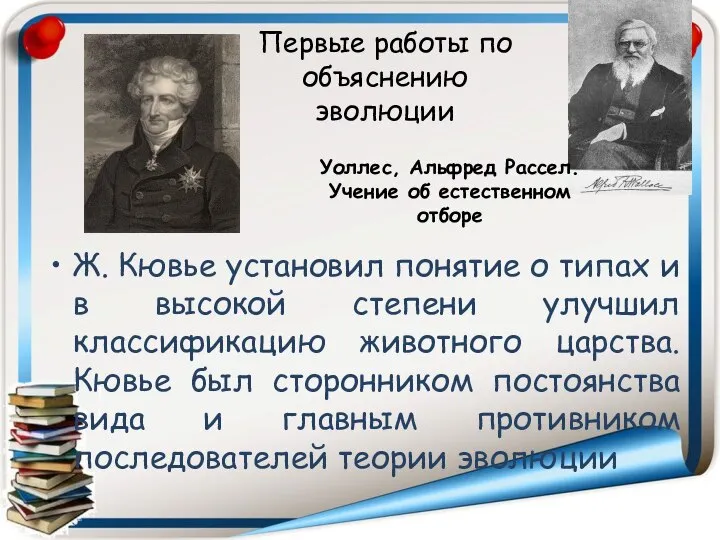 Ж. Кювье установил понятие о типах и в высокой степени улучшил классификацию