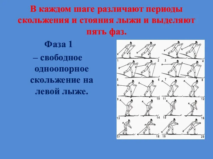 В каждом шаге различают периоды скольжения и стояния лыжи и выделяют пять