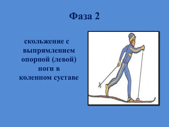 Фаза 2 скольжение с выпрямлением опорной (левой) ноги в коленном суставе
