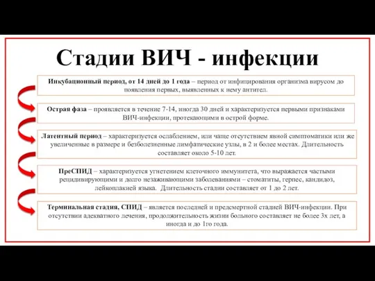 Стадии ВИЧ - инфекции Инкубационный период, от 14 дней до 1 года