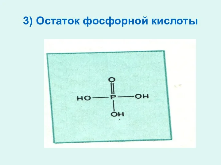 3) Остаток фосфорной кислоты