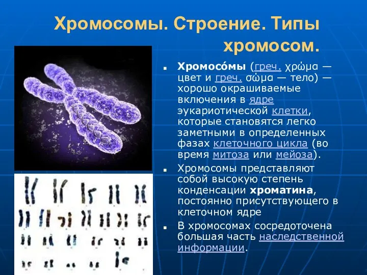 Хромосомы. Строение. Типы хромосом. Хромосо́мы (греч. χρώμα — цвет и греч. σώμα