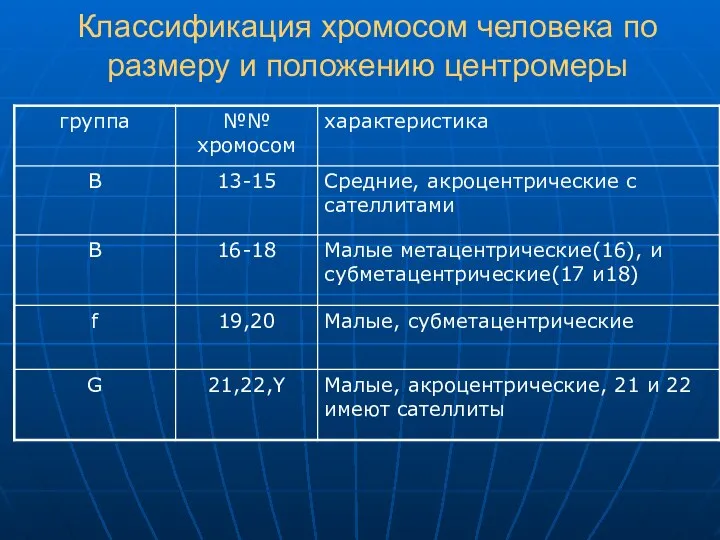 Классификация хромосом человека по размеру и положению центромеры