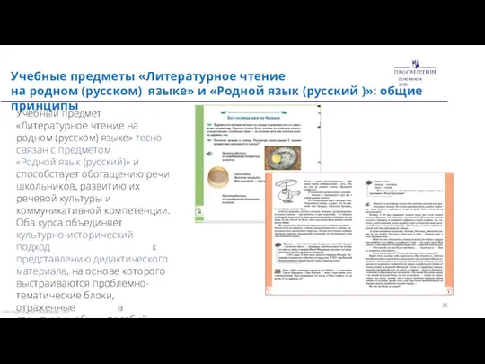 Учебные предметы «Литературное чтение на родном (русском) языке» и «Родной язык (русский