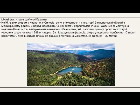 Цікаві факти про українські Карпати Найбільшим озером у Карпатах є Синевір, воно