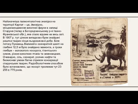 Найзначніша палеонтологічна знахідка на території Карпат – це, ймовірно, місцезнаходження викопної фауни