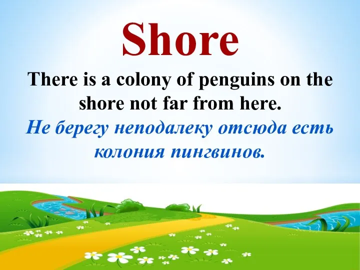 Shore There is a colony of penguins on the shore not far