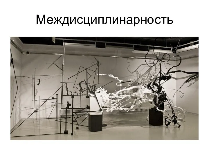 Междисциплинарность