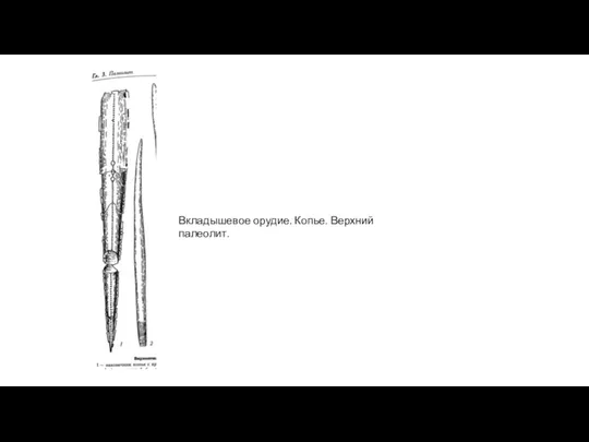 Вкладышевое орудие. Копье. Верхний палеолит.