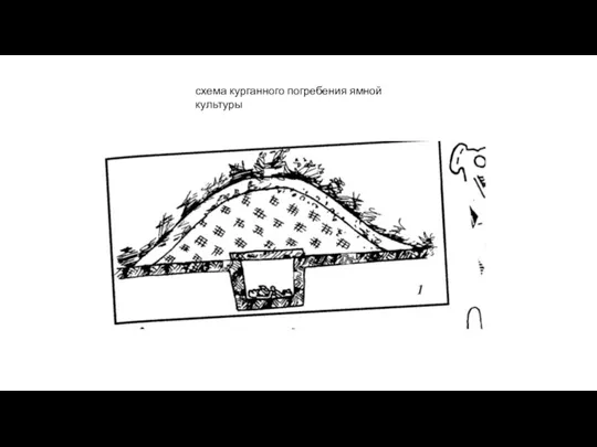 схема курганного погребения ямной культуры