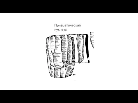 Призматический нуклеус