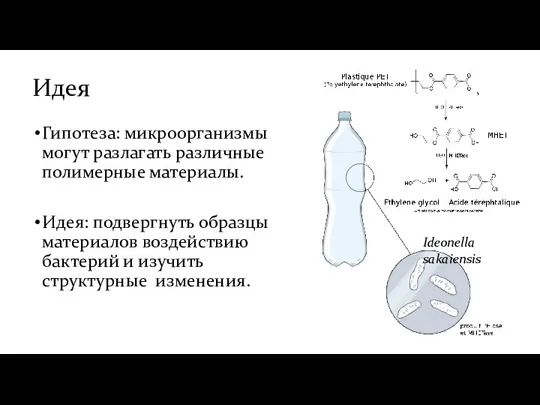 Идея Гипотеза: микроорганизмы могут разлагать различные полимерные материалы. Идея: подвергнуть образцы материалов