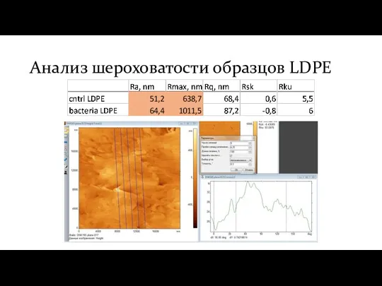 Анализ шероховатости образцов LDPE
