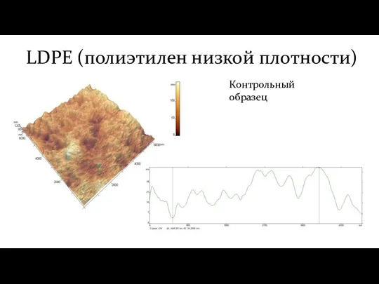 LDPE (полиэтилен низкой плотности) Контрольный образец