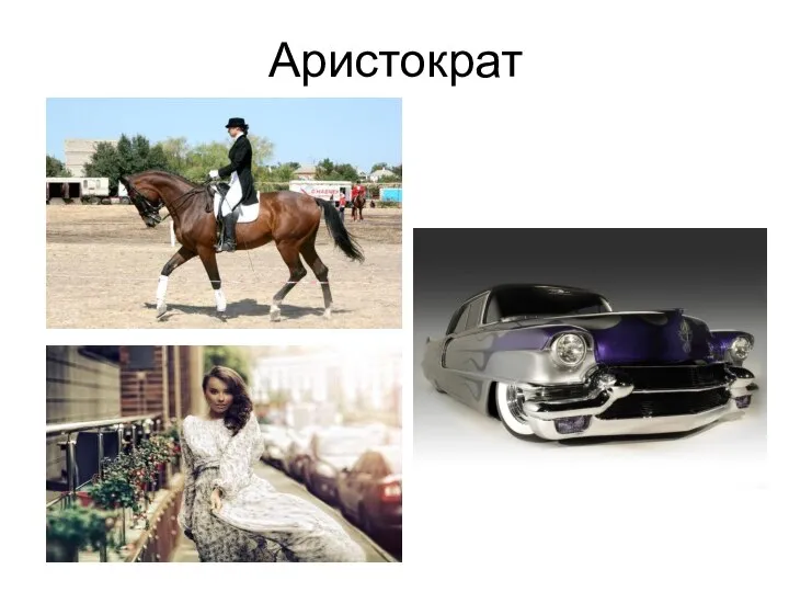 Аристократ