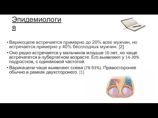 Эпидемиология Варикоцеле встречается примерно до 20% всех мужчин, но встречается примерно у