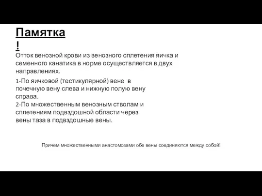 Памятка! Отток венозной крови из венозного сплетения яичка и семенного канатика в