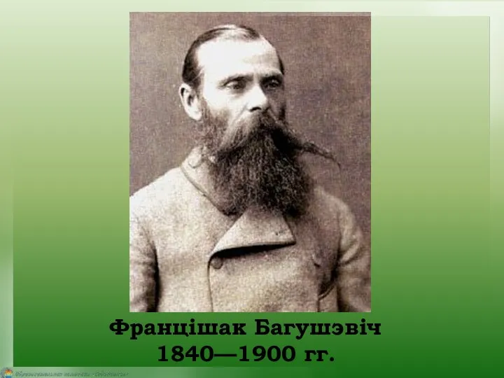 Францішак Багушэвіч 1840—1900 гг.