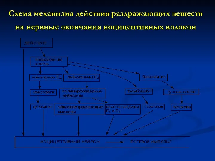 Схема механизма действия раздражающих веществ на нервные окончания ноцицептивных волокон