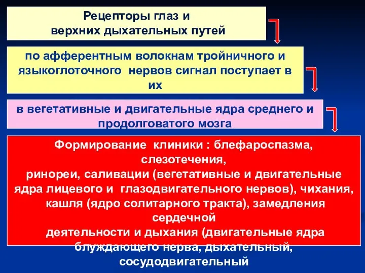 Рецепторы глаз и верхних дыхательных путей по афферентным волокнам тройничного и языкоглоточного