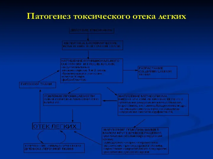 Патогенез токсического отека легких