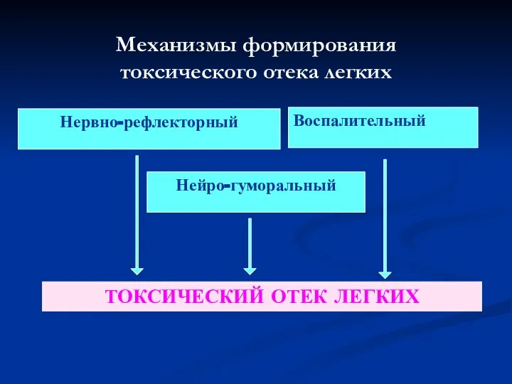 Нейро-гуморальный Воспалительный Нервно-рефлекторный Механизмы формирования токсического отека легких ТОКСИЧЕСКИЙ ОТЕК ЛЕГКИХ