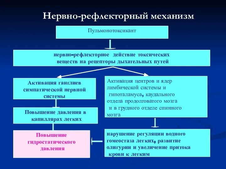 Повышение давления в капиллярах легких Активация ганглиев симпатической нервной системы нарушение регуляции