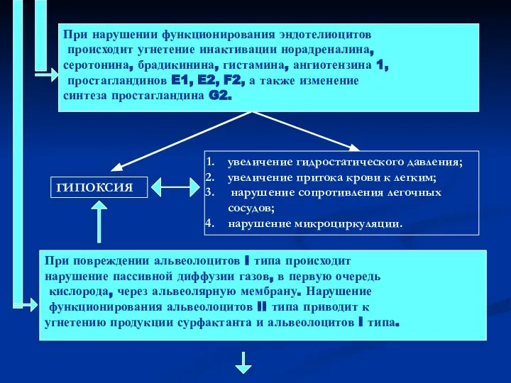 При нарушении функционирования эндотелиоцитов происходит угнетение инактивации норадреналина, серотонина, брадикинина, гистамина, ангиотензина