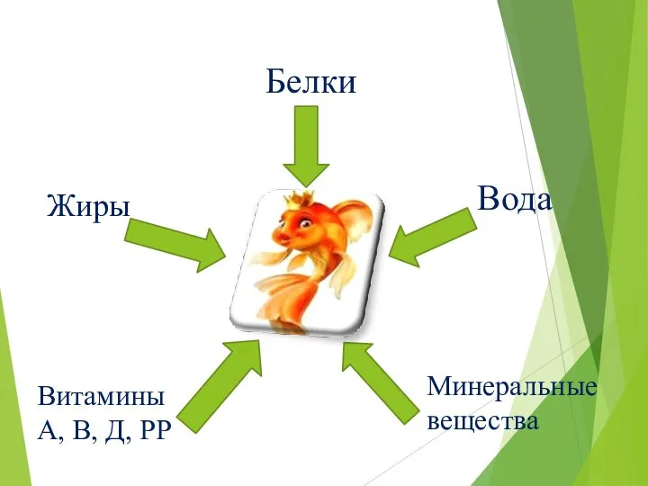 Белки Жиры Вода Минеральные вещества Витамины А, В, Д, РР