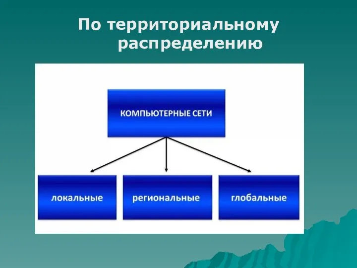 По территориальному распределению