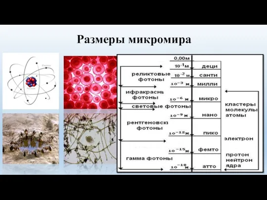 Размеры микромира