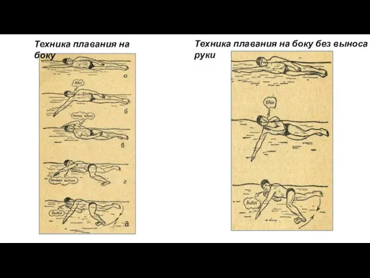 Техника плавания на боку Техника плавания на боку без выноса руки
